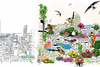 Unlocking the future: Exploring the possibilities of biodiversity with speculative design