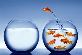 How Expensive Is Our Comfort Zone? 3 Ways We Lose Money and Opportunities