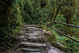 Chasing Sunrises and Mountain Dreams on the Ghorepani Poon Hill Trek