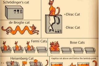 Проверьте себя на понимание основ «Квантовой мяукомеханики»
