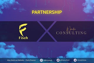 FISCH FINANCE X WONDER CONSULTING