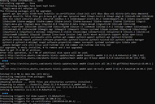 Windows Users : How to build RYO from source on Linux using WSL