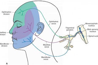 Trigeminal neuralgia