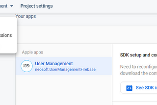 iOS: Working with Firebase Real-Time Database