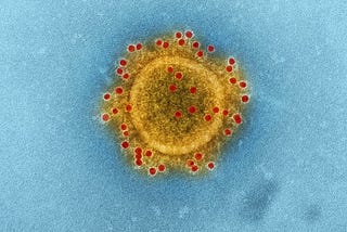 Electron microscope image of Novel Corona virus.