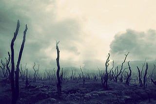 Why I Would Not Survive The ______ Apocalypse