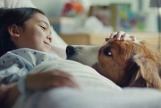 Do Dogs Really Bring Out The Best In Us Or Is The Little Girl In That Dog Food Commercial A Total…