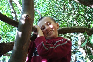 The author as a child clinging onto a tree branch. He’s wearing a red sweater, has brown hair, and is smiling at the camera. In the background, lots of tree branches and green leaves are visible.
