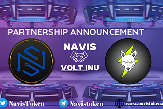 Navis has partnered with Volt Inu for high nanotechnology infrastructure