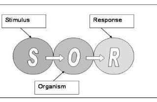 What is S-O-R Model ?