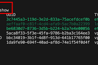 Use Command to Connect to VPN with Kali Network Manager