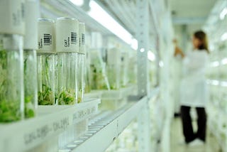 Creating a gene bank for endangered plants and animals
