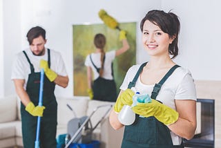 Why a Pro Cleaner is Important for your Home