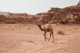 Off the Backpacker’s Trail — Nine Days in Jordan