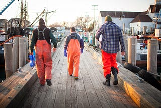 Dock to Dish Cuts Out Middlemen by Bringing Fish Directly to Restaurants