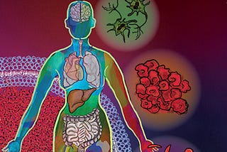 Image of a person, their organs, and cells