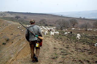Kakheti steppe, Georgia, 2013 · Photo: Devi Asmadiredja