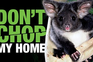 “Don’t Chop My Home” Advertisements