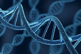 DNA Replication Process