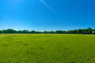 Broad Beams Of Light — Where War Ends And Grass Begins: Join My 365-Day Peaceful Photo Challenge