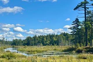 Mountain Biking in the Adirondacks During Our Labor Day Weekend Camping Trip-Part 2