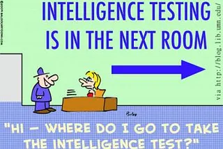The Truth About Intelligence Typing