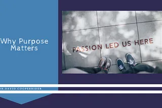 Why Purpose Matters