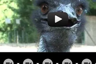 Influency Through Introductory Videos
