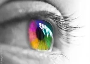 Influency: Seeing All Colors, Controlling All Things