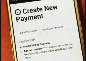Beyonic Mobile Payments Interface