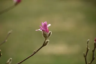 I’m Drowning In Mother’s Day Memories