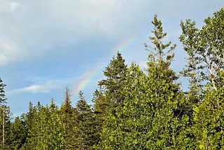 Rainbow over the pine trees on Drummond Island, Michigan