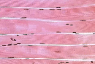 Il difficile incontro fra uno scienziato e un’umanista