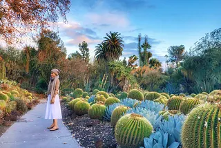 [Day 816] Recovering from lobectomy