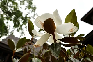 How A Scary Incident Helped Me Become a Better Parent