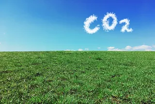EcoVadis: new carbon action to tackle climate change