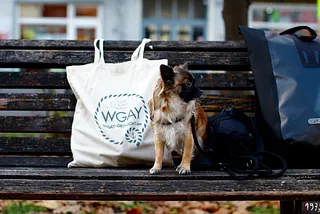 WGAY Gesucht — Setze ein Zeichen mit unseren Goodies!