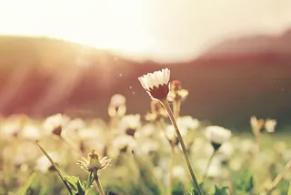 7 Tips for Creating an Effective Online Community