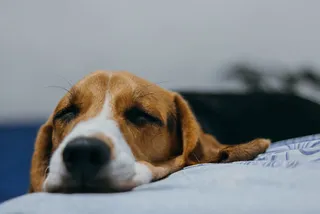 Are You Doing Too Much?