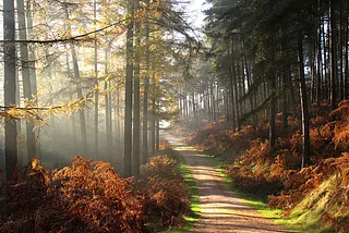 Autumn country lane