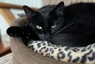 21 Things I Learned in 2021