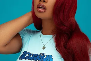 Megan Thee Stallion & the Politics of Respecting Black women