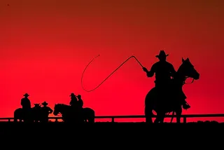 Business Vocabulary Idioms: The Wild West