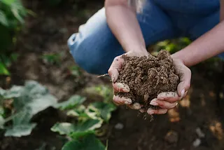 Is your food brand serving the planet?