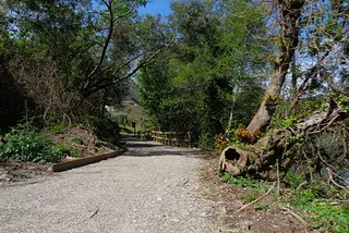 Passeio Verde: À descoberta do novo percurso da Ecovia das Laranjas