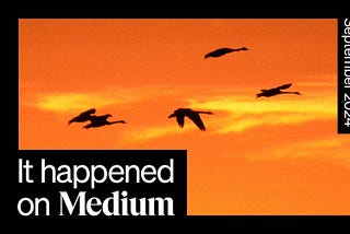 It happened on Medium: September 2024 roundup