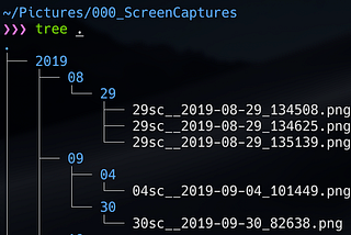How to organize screen captures taken in macOS to monthly or daily directory automatically?
