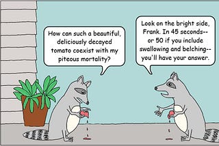 Two raccoons discuss mortality and decayed tomatoes.