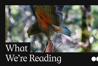 What We’re Reading: Find your new favorite publication