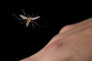 A mosquito about to fly onto a person’s hand.